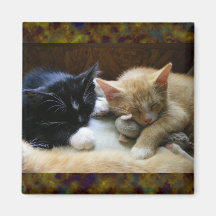 Chatons de "Naptime" Aimants