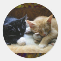 Chatons de "Naptime" Autocollant