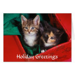Chatons de Noël Carte De Vœux