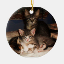 chatons en abondance décoration pour sapin de noël