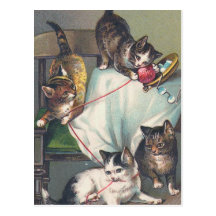 "Chatons jouant avec la carte postale de laine de 