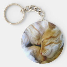 Chatons Keychain de câlin Porte-clef