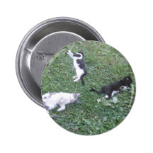 Chats Badges