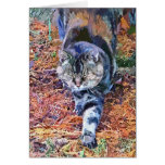 CHATS CARTES DE VŒUX