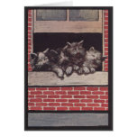 Chats dans le cru de fenêtre carte de vœux