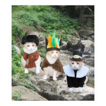 Chats de frontière posters