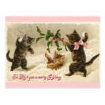 Chats de Noël Cartes Postales