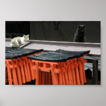 Chats de temple poster