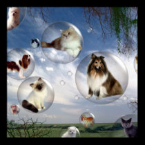 Chats et affiche de chiens posters