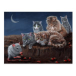 Chats et rat avec la carte postale de fraises