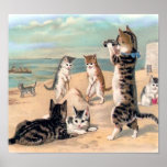 Chats jouant à la copie de plage affiche