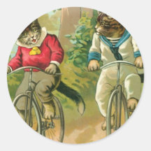 Chats montant des vélos adhésifs