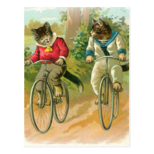 Chats montant des vélos carte postale