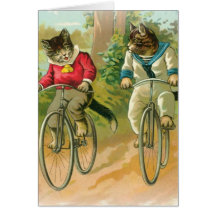Chats montant des vélos cartes