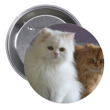 CHATS PERSANS PIN'S AVEC AGRAFE