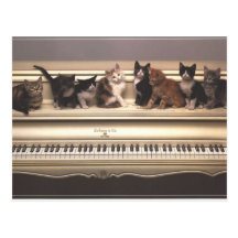 Chats précieux, cartes de chatons, cadeaux - perso carte postale