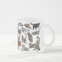 Chats Tasses À Café