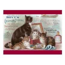 Chats vendant la carte commerciale victorienne de  cartes postales