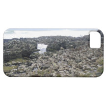 Chaussée Irlande du Nord de Giants Coques iPhone 5 Case-Mate