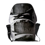 Chaussures de cheval sacoches
