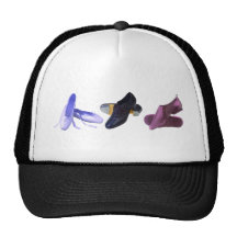 Chaussures de danse casquettes