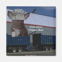 Chef d'orchestre Chipper d'ours de chiwawa adorabl Aimant