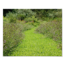 Chemin 10 x de fleur sauvage épreuve photographiqu