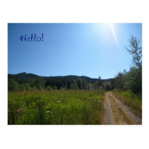 Chemin à la carte postale de forêt