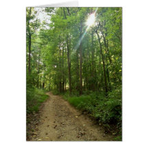 Chemin allumé dans la forêt cartes de vœux