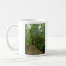 Chemin allumé dans la forêt mug