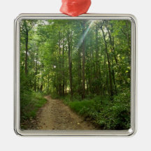 Chemin allumé dans la forêt ornement de noël