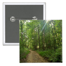 Chemin allumé dans la forêt pin's