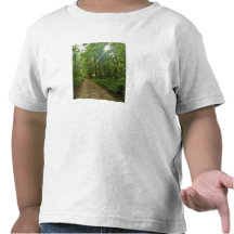 Chemin allumé dans la forêt t-shirt