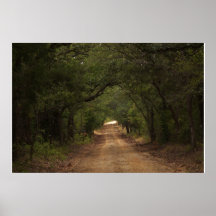 Chemin de terre sous l'auvent des chênes poster