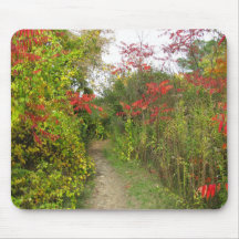 Chemin enchanté tapis de souris