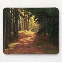 Chemin forestier ensoleillé tapis de souris
