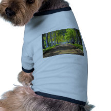 Chemin paisible manteau pour animal domestique