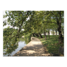 Chemin rayé par arbre par Lakeside Photos D’art