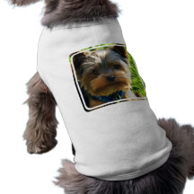Chemise d'animal familier de Yorkshire Terrier Manteaux Pour Animaux Domestiques