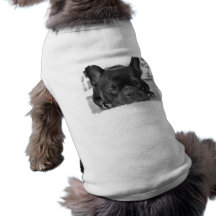 Chemise de chien de bouledogue français tee-shirts pour toutous