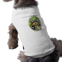 Chemise de chien de York Terrier Vêtement Pour Animal Domestique