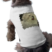 Chemise maltaise d'animal familier t-shirt pour animal domestique