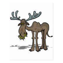 Chemises et cadeaux 7 d'orignaux cartes postales
