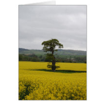 Chêne de forêt cartes de vœux