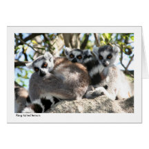 Chèque-cadeau de lémur carte de vœux