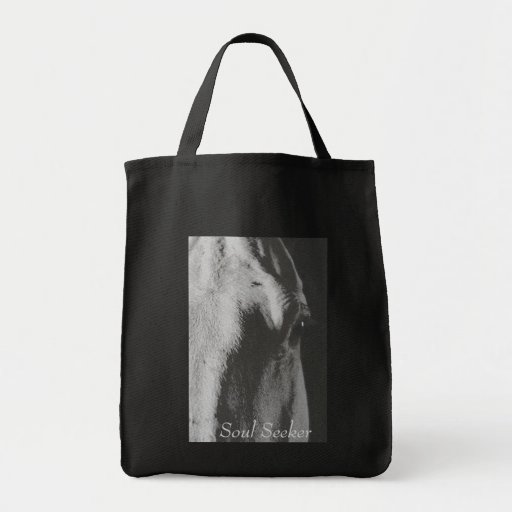 Chercheur d'âme sac