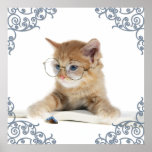 Chercheur de chat posters