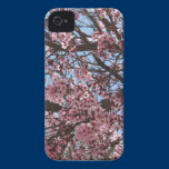 Cherry Blossom coques case-mate