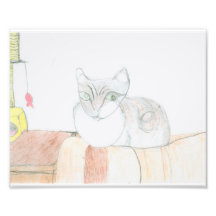 Chester la copie de photo du chat 8x10