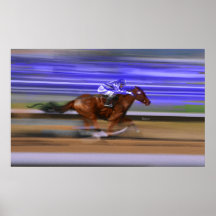 CHEVAL AFFICHES